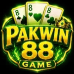 PAKWIN88 Game