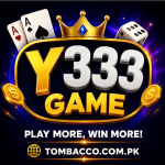 Y333 Game (1)