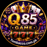 q85 game